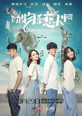 《动物系恋人啊》：一场都市丛林的爱情进化论，你是哪种动物系恋人？