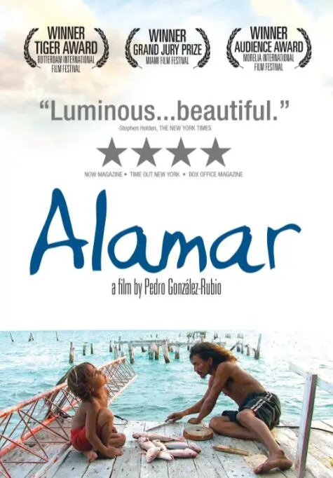 《拥抱大海》：一场治愈心灵的蔚蓝之旅，在海浪声中寻找自我与救赎