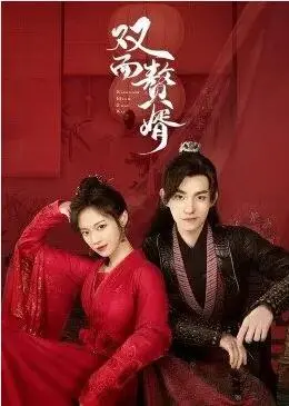 《双面赘婿》：反转！小人物的逆袭之路，看他如何玩转豪门与江湖？